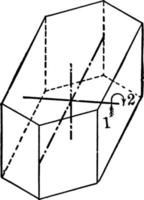 symmetrie van monoklinisch systeem, wijnoogst illustratie. vector