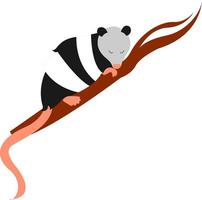 slapen opossum, illustratie, vector Aan wit achtergrond.