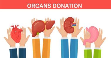 bijdrage organen. artsen handen houden schenker nier, hart, lever, maag voor transplantatie vector