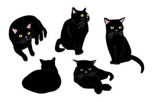 zwart kat illustratie set. vector illustratie