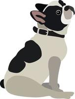 schattig hond zitten, illustratie, vector Aan wit achtergrond.