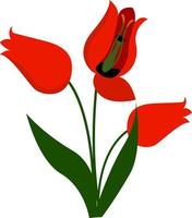 rood bloem, illustratie, vector Aan wit achtergrond.