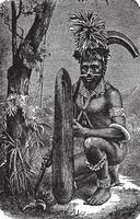 Papoea strijder, wijnoogst illustratie. vector