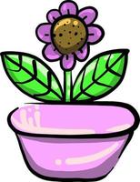 bloemen in pot, illustratie, vector Aan wit achtergrond