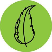 spikey groen blad, illustratie, vector Aan een wit achtergrond