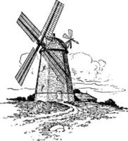 windmolen, wijnoogst illustratie. vector