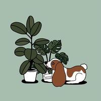 hand getrokken kamerplanten en schattige hond vector