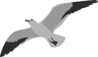 vliegend albatros, illustratie, vector Aan wit achtergrond