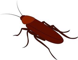 bruin kakkerlak, illustratie, vector Aan wit achtergrond.