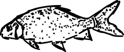 vis tekening, illustratie, vector Aan wit achtergrond.