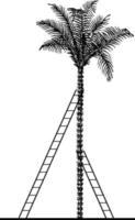 2 ladders leunend tegen een boom, wijnoogst illustratie vector