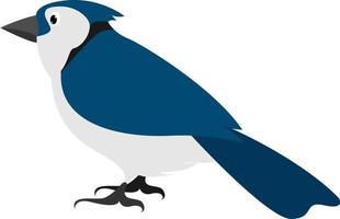 blauw vogel, illustratie, vector Aan wit achtergrond.