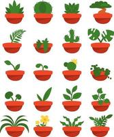 binnen- planten, illustratie, vector Aan een wit achtergrond.