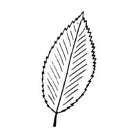rozenbottel blad hand- getrokken in tekening stijl. icoon, sticker, decor element. schetsen, monochroom, minimalisme Scandinavisch vector