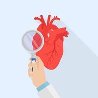 menselijk hart analyseren. orgaan met vergroten glas. cardiologisch ziekten vector