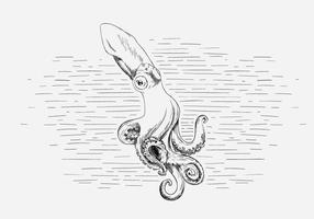 Gratis Vector Octopus Illustratie