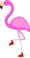 flamingo, illustratie, vector Aan wit achtergrond.