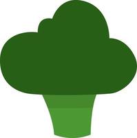 groen broccoli, illustratie, vector Aan een wit achtergrond.