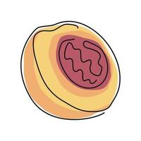 perzik fruit lijn tekening vector