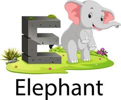 dierentuin dier alfabet e voor olifant met de dier naast vector