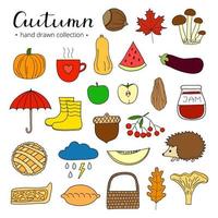 hand- getrokken herfst items set. vector