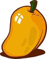 rijp mango ,illustratie,vector Aan wit achtergrond vector