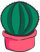 cactus in roze pot, illustratie, vector Aan wit achtergrond.