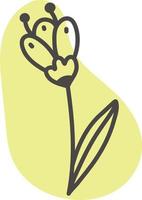 krokus bloem, illustratie, vector Aan een wit achtergrond.