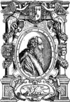 Venetiaanse afdrukken is een tekening van een oud Mens kant profiel wijnoogst gravure. vector