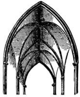 lies kant, wijnoogst gravure. vector