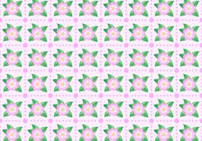 Gratis Camellia Pattern Vector