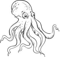 Octopus tekening, illustratie, vector Aan wit achtergrond.