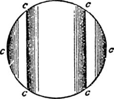 differentieel lens, wijnoogst illustratie. vector