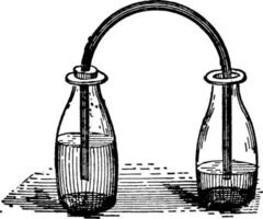 fles overhevelen, wijnoogst illustratie. vector