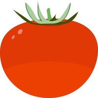vers tomaat, illustratie, vector Aan wit achtergrond.