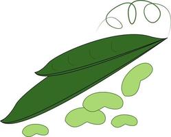 groen bonen, illustratie, vector Aan wit achtergrond.