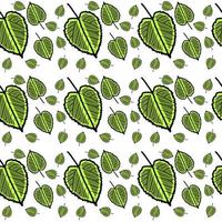 groen bladeren patroon, illustratie, vector Aan wit achtergrond.