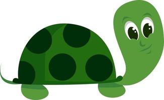 groen schattig schildpad, illustratie, vector Aan wit achtergrond.