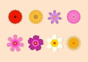 Gratis Flower Vector Collection