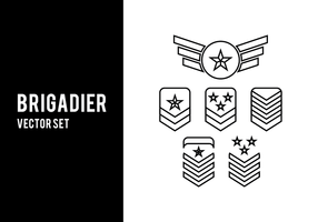 Brigadier Vector Set