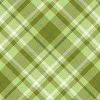 naadloos patroon in gemakkelijk moeras groen en wit kleuren voor plaid, kleding stof, textiel, kleren, tafelkleed en andere dingen. vector afbeelding. 2