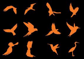 Flying Bird Silhouette Vectors