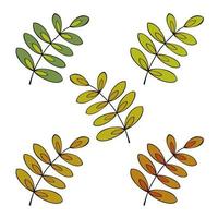 reeks van gekleurde pictogrammen, herfst decoratief lijsterbes bladeren, vector illustratie Aan een wit achtergrond