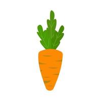 oranje wortel met groen bladeren. tekenfilm groenten vector
