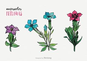 Waterverf Petunia Vector Set