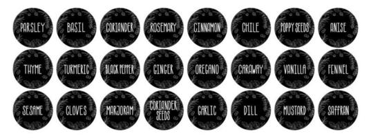 vector reeks van stickers voor specerijen. basilicum, peterselie, koriander, rozemarijn, kaneel, Chili, peper, tijm, kurkuma, zwart peper, gember, oregano, komijn, papaver, anijs, knoflook, dille, mosterd, saffraan