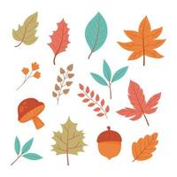 eikel, paddenstoel, bladeren en gebladerte. herfst pictogrammen vector