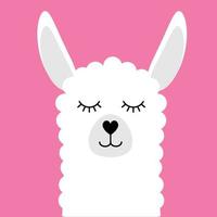 vector lama alpaca gezicht