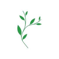 groen blad logo vector