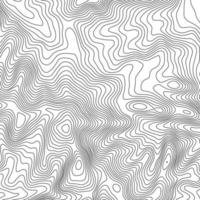 topografisch kaart contour achtergrond. topo kaart met verhoging. contour kaart vector. geografisch wereld topografie kaart rooster abstract vector illustratie .